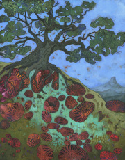 Grandmother Juniper