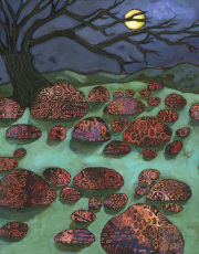 Midnight in the Boulder Field