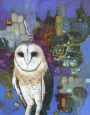Barn Owl
