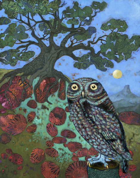 Owl and the Juniper