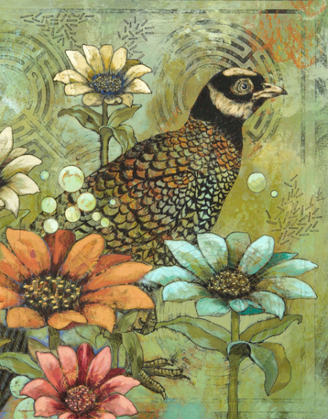Wild Pheasant